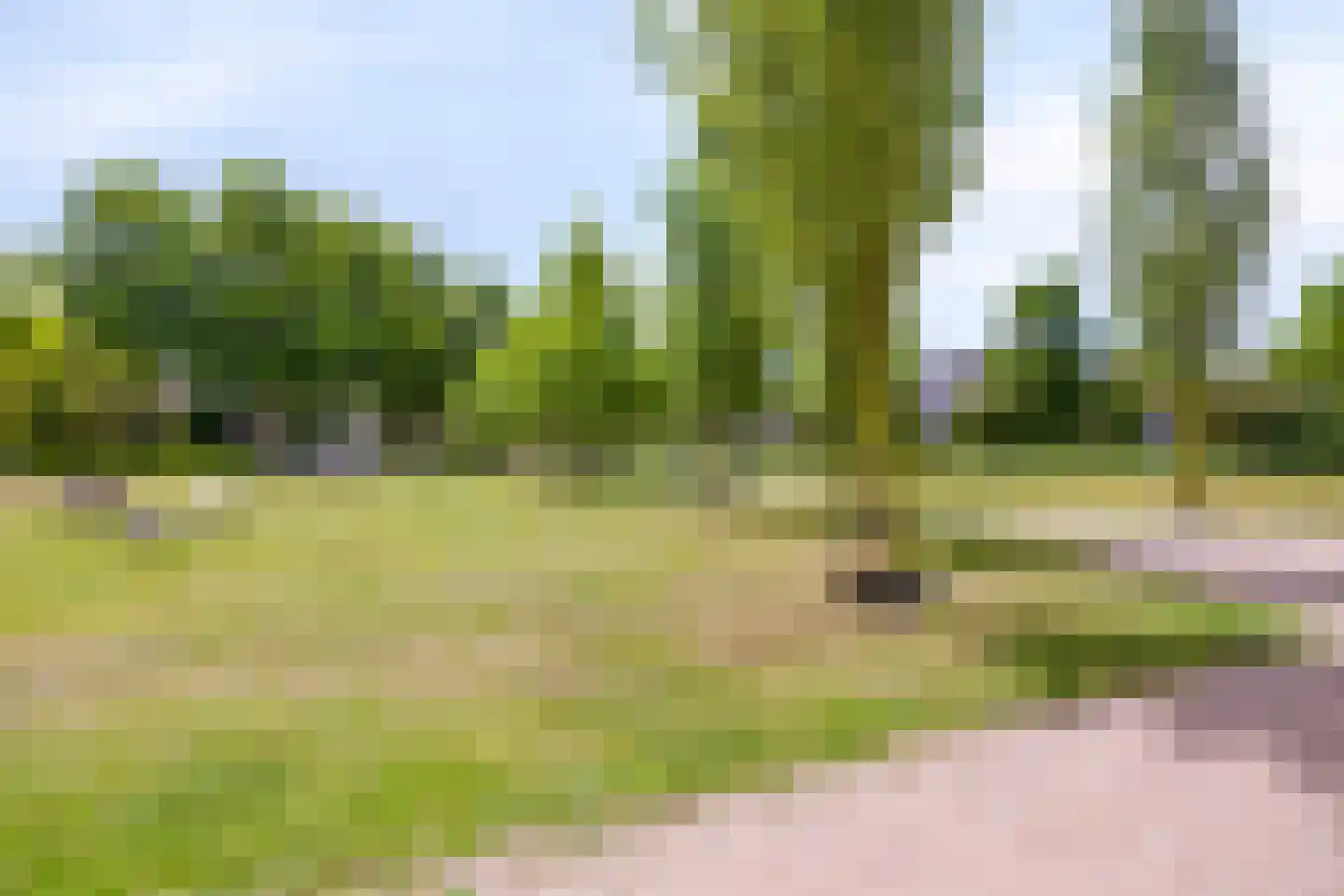 Raadhuisstraat 278 Best thumbnail 53