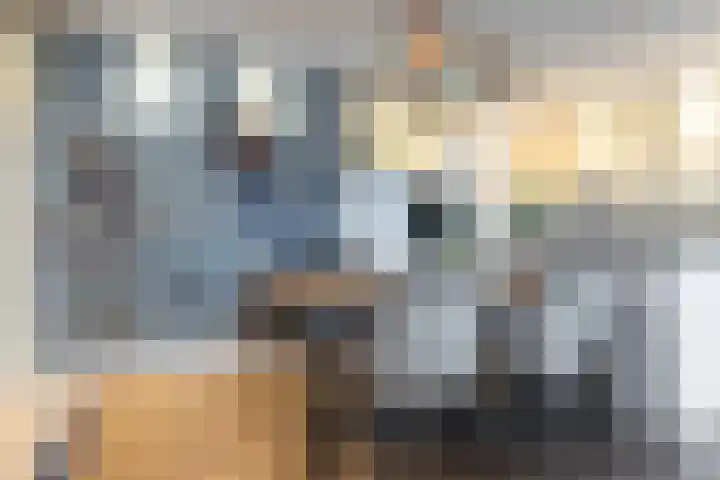 Raadhuisstraat 278 Heemskerk thumbnail 21