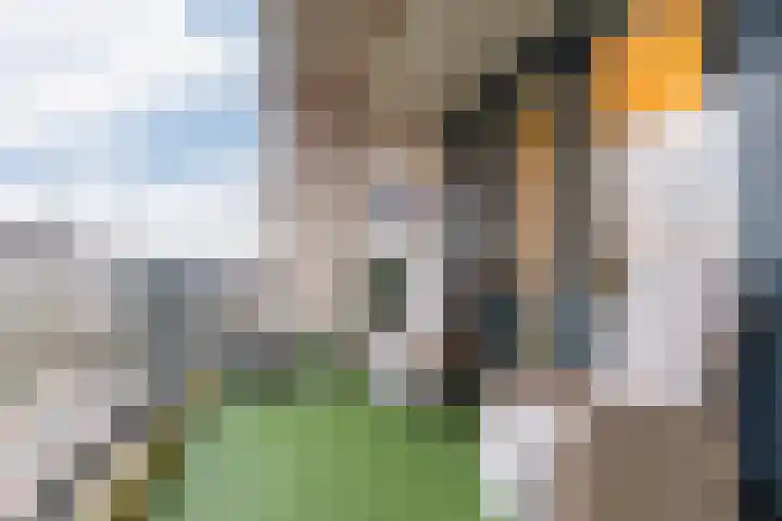 Raadhuisstraat 278 Heemskerk thumbnail 42