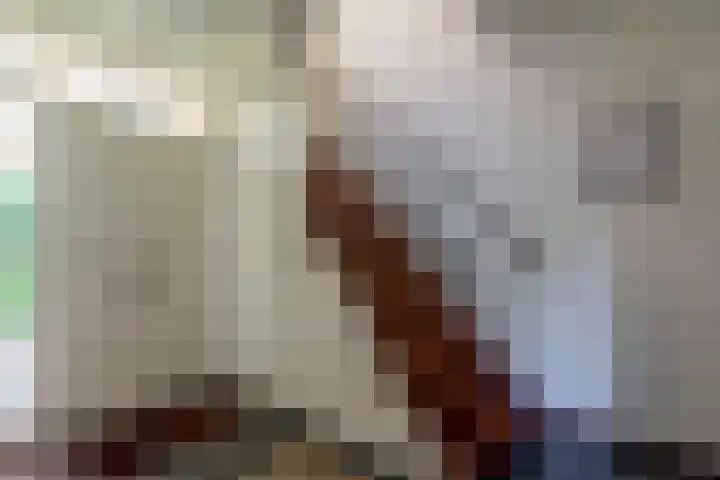 Raadhuisstraat 28 Berkel-Enschot thumbnail 11