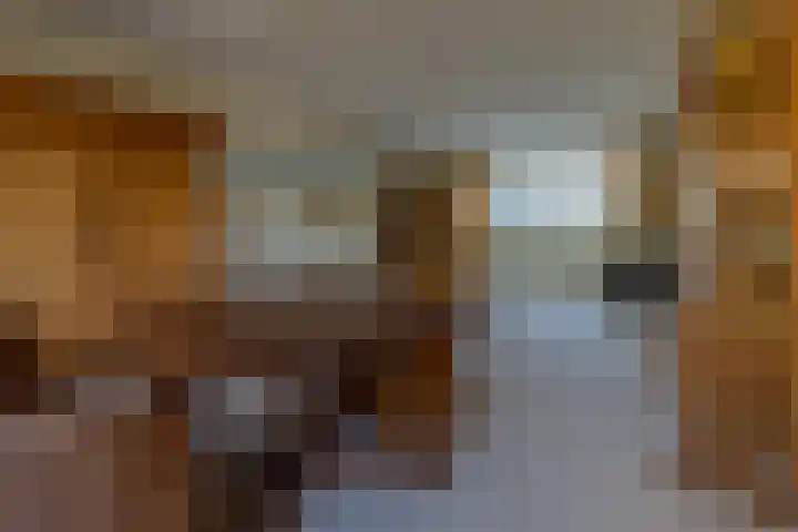 Raadhuisstraat 28 Berkel-Enschot thumbnail 13
