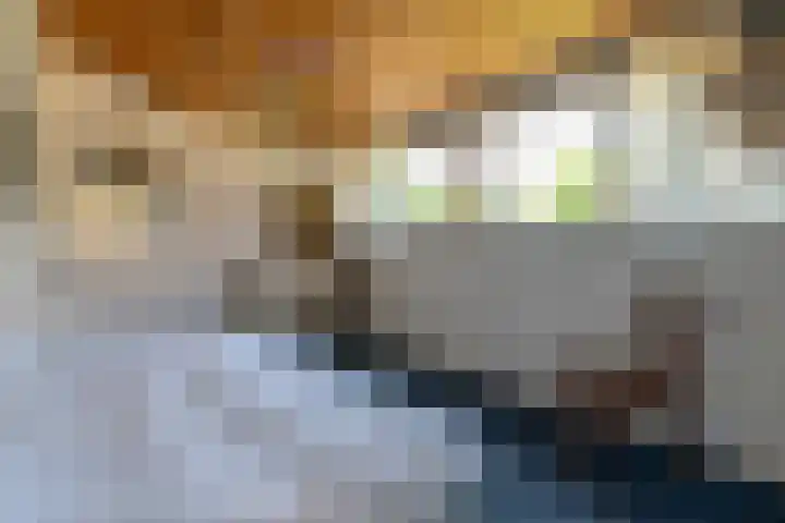 Raadhuisstraat 28 Berkel-Enschot thumbnail 29