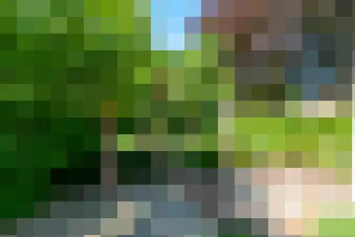 Raadhuisstraat 28 Berkel-Enschot thumbnail 6