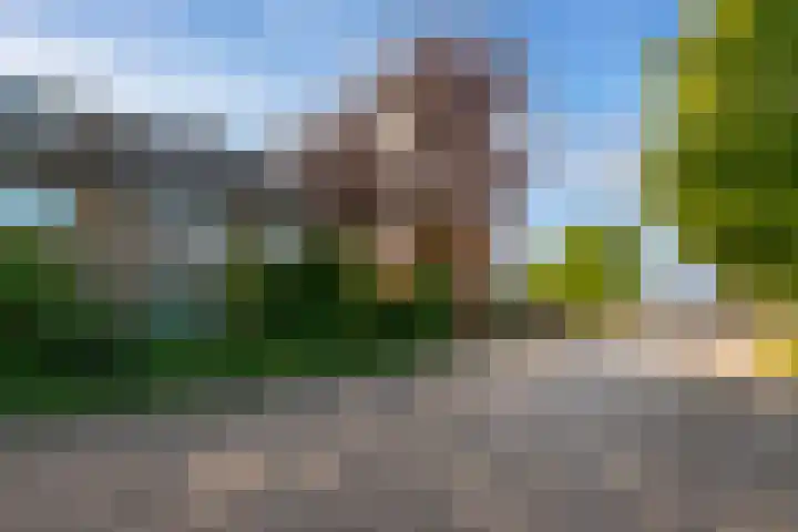 Raadhuisstraat 28 Berkel-Enschot thumbnail 7