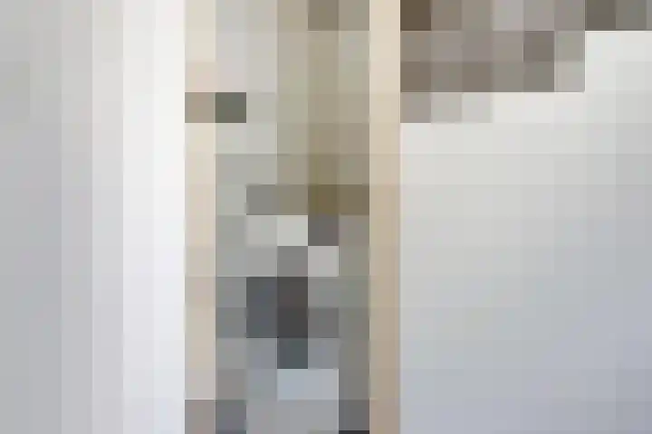 Raadhuisstraat 28 Nijmegen thumbnail 20