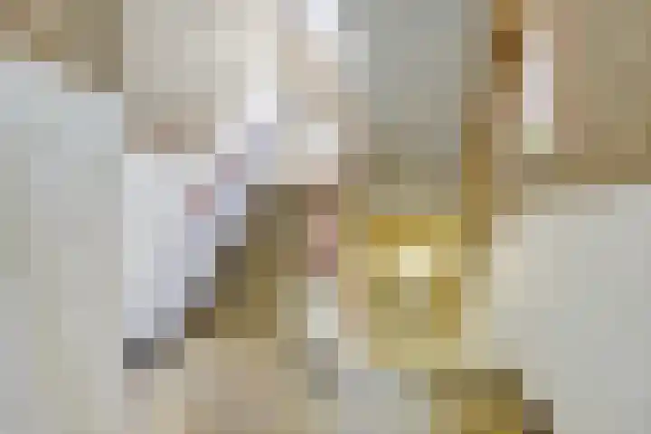 Raadhuisstraat 28 Nijmegen thumbnail 33