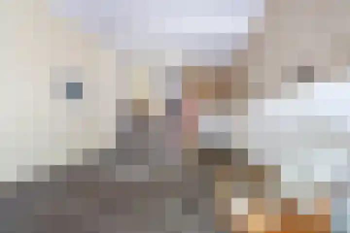 Raadhuisstraat 28 Nijmegen thumbnail 9