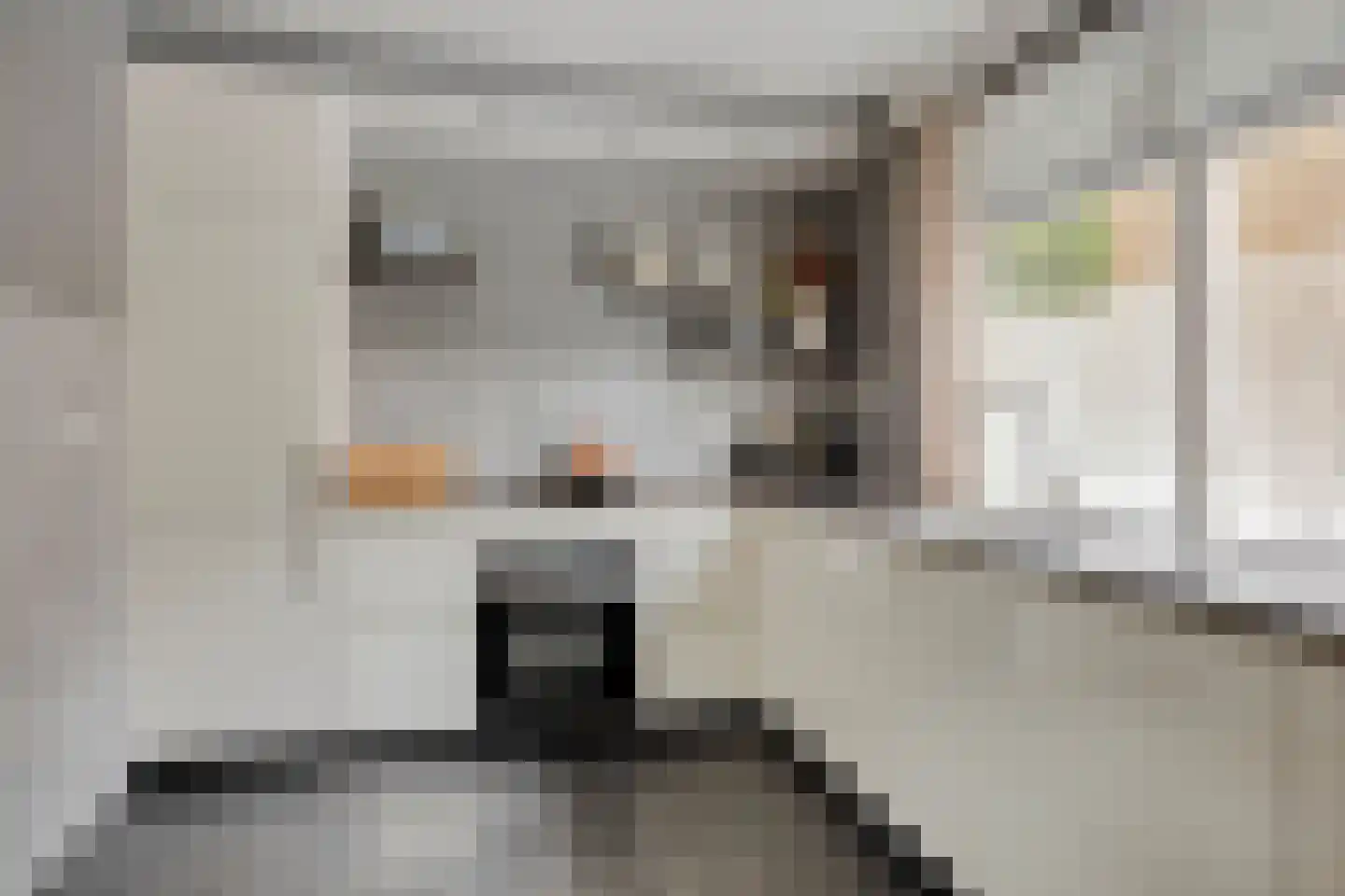 Raadhuisstraat 29 Nuland thumbnail 15