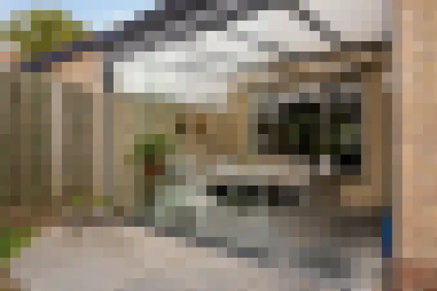 Raadhuisstraat 29 Nuland thumbnail 26