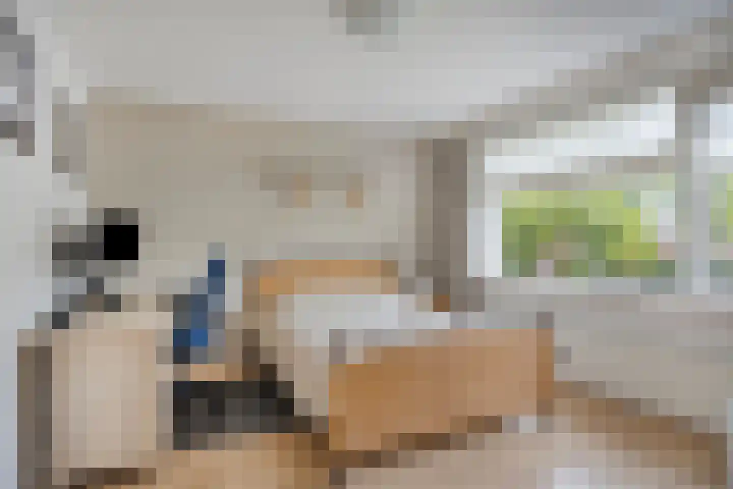 Raadhuisstraat 29 Nuland thumbnail 35