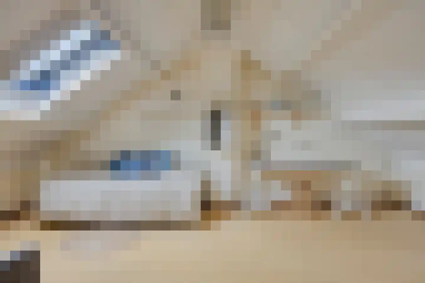 Raadhuisstraat 29 Nuland thumbnail 43