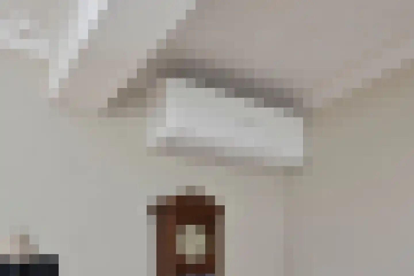 Raadhuisstraat 29 Nuland thumbnail 9