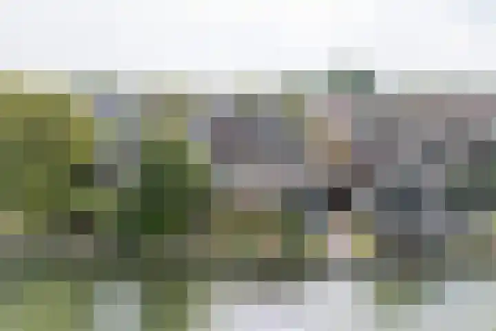 Raadhuisstraat 29 Oosthuizen thumbnail 4