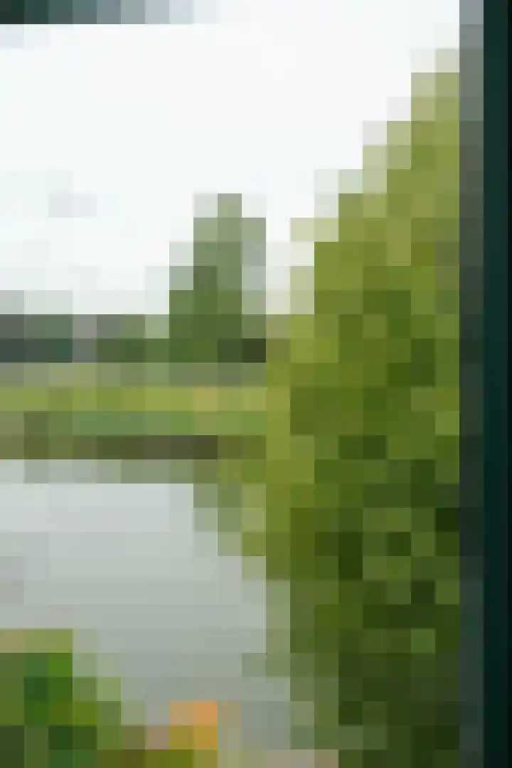 Raadhuisstraat 29 Oosthuizen thumbnail 43
