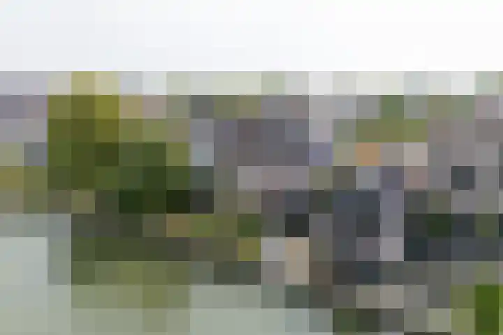 Raadhuisstraat 29 Oosthuizen thumbnail 5