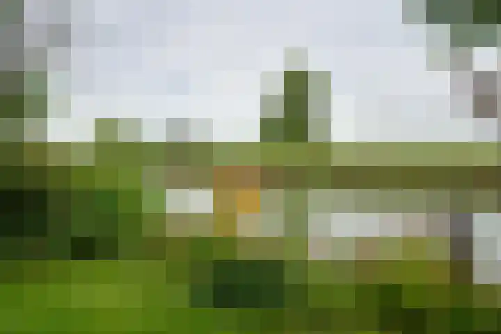 Raadhuisstraat 29 Oosthuizen thumbnail 57