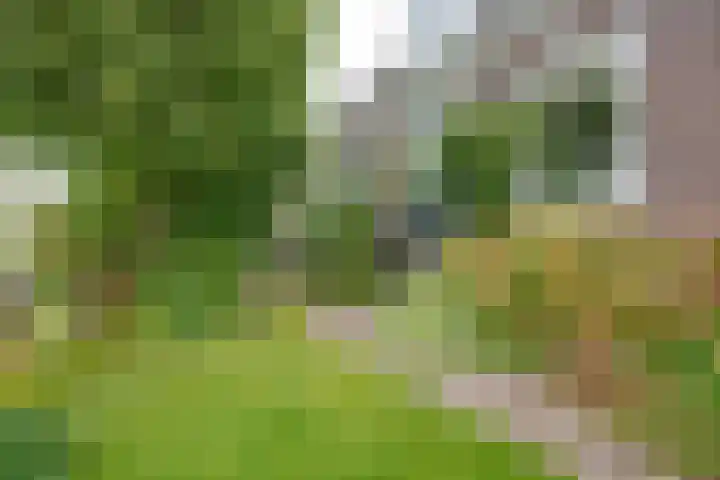 Raadhuisstraat 29 Oosthuizen thumbnail 58