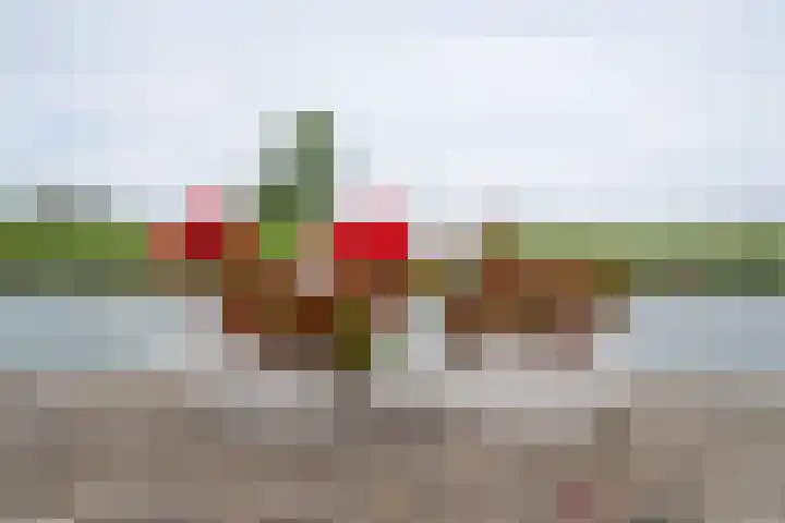 Raadhuisstraat 29 Oosthuizen thumbnail 63