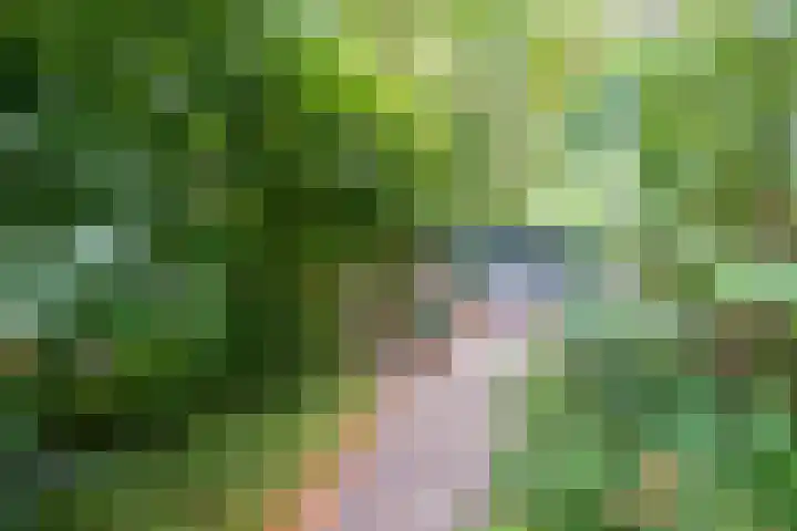 Raadhuisstraat 29 Oosthuizen thumbnail 65