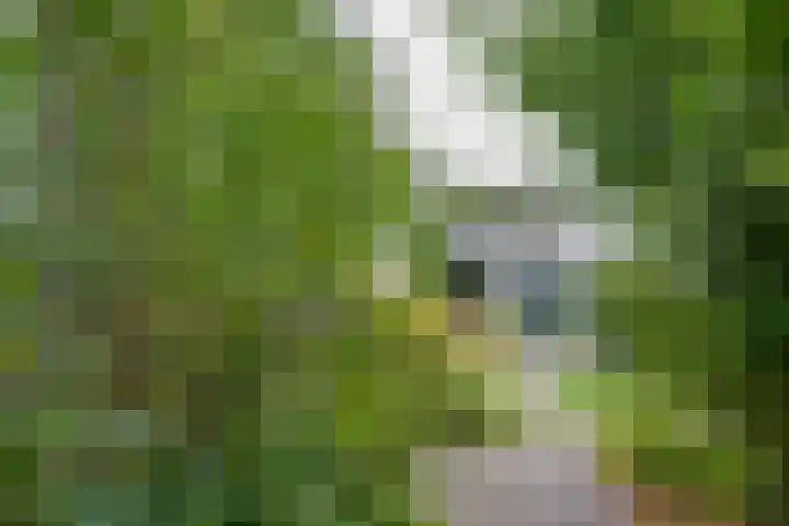 Raadhuisstraat 29 Oosthuizen thumbnail 66