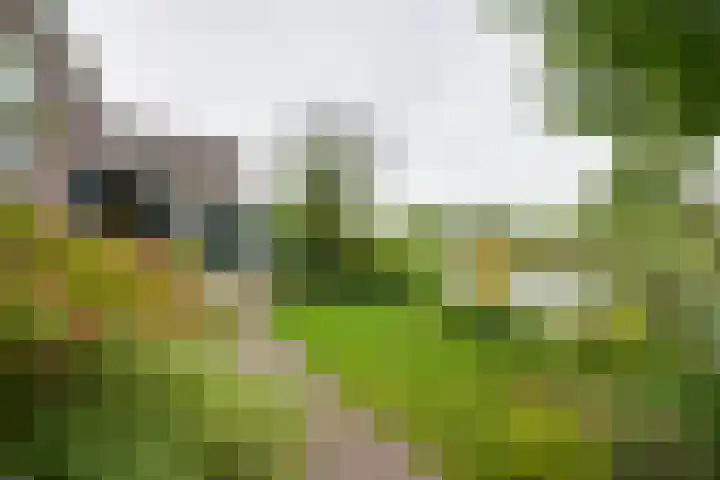 Raadhuisstraat 29 Oosthuizen thumbnail 67