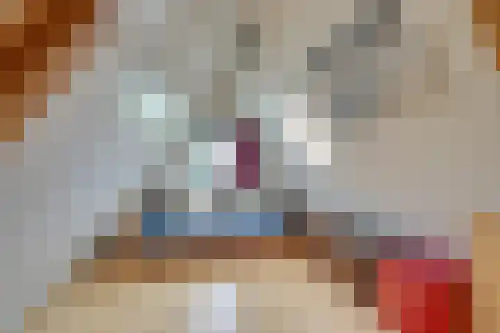 Raadhuisstraat 29 Oosthuizen thumbnail 69