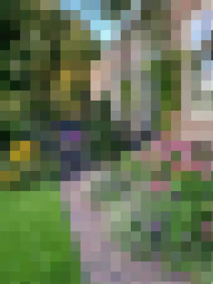 Raadhuisstraat 29 Oosthuizen thumbnail 78