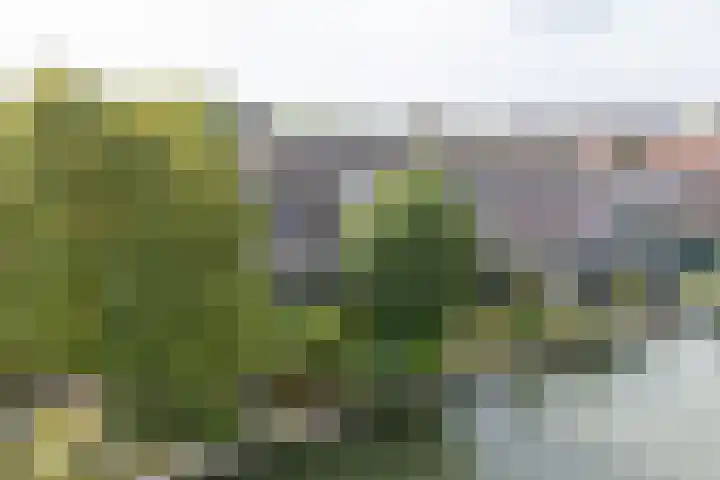 Raadhuisstraat 29 Oosthuizen thumbnail 8
