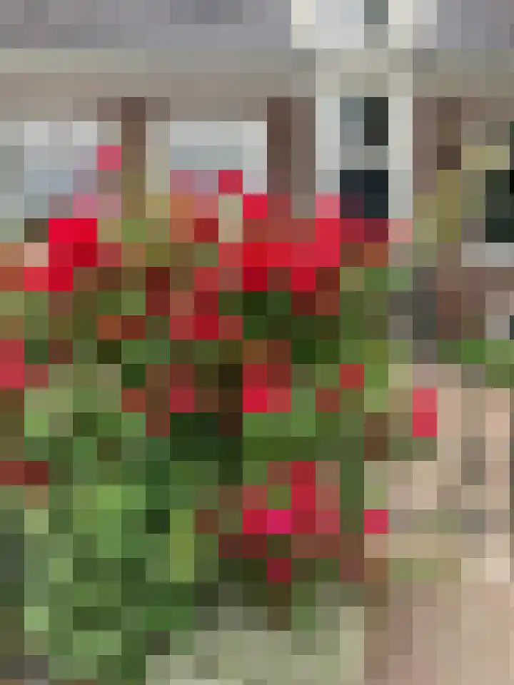 Raadhuisstraat 29 Oosthuizen thumbnail 80