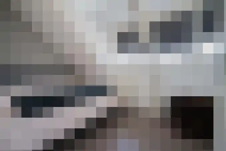Raadhuisstraat 3 A Heerhugowaard thumbnail 10