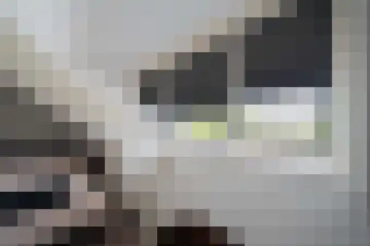 Raadhuisstraat 3 A Heerhugowaard thumbnail 11
