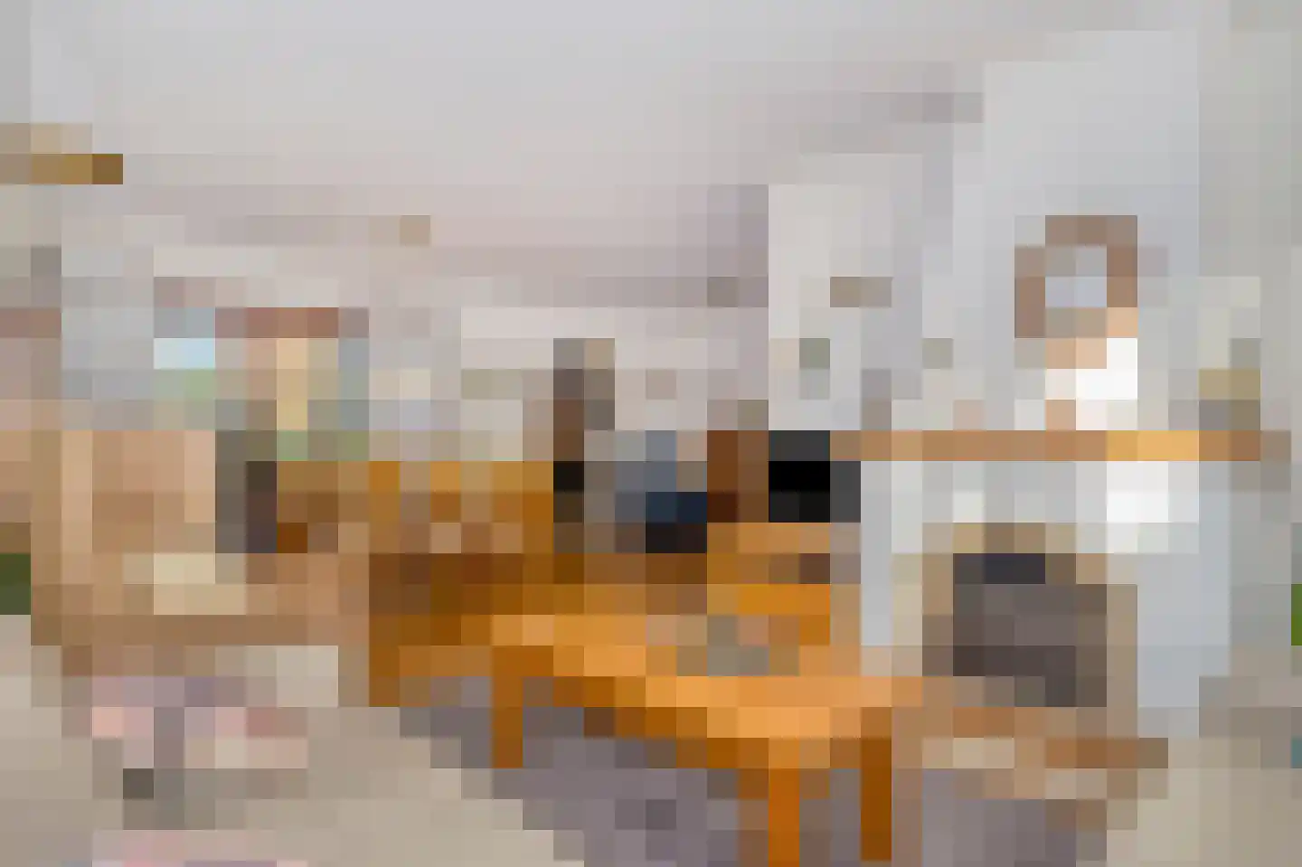Raadhuisstraat 3 a Urmond thumbnail 13