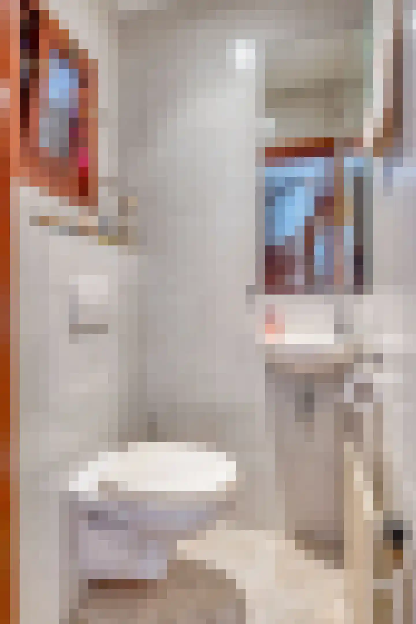 Raadhuisstraat 3 a Urmond thumbnail 21