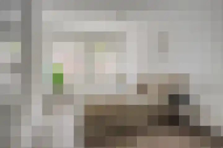 Raadhuisstraat 3 b Maarssen thumbnail 21