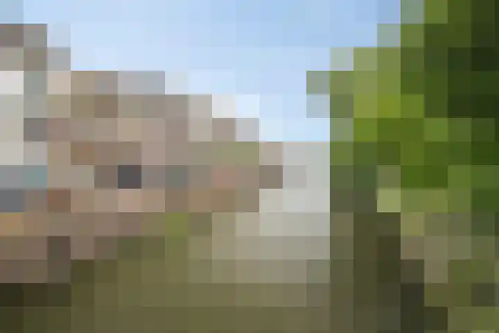 Raadhuisstraat 3 b Maarssen thumbnail 38