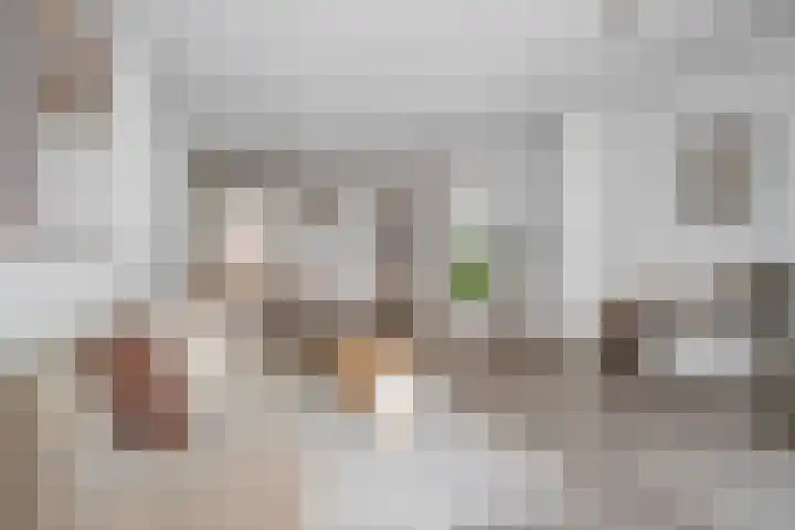 Raadhuisstraat 3 b Maarssen thumbnail 6