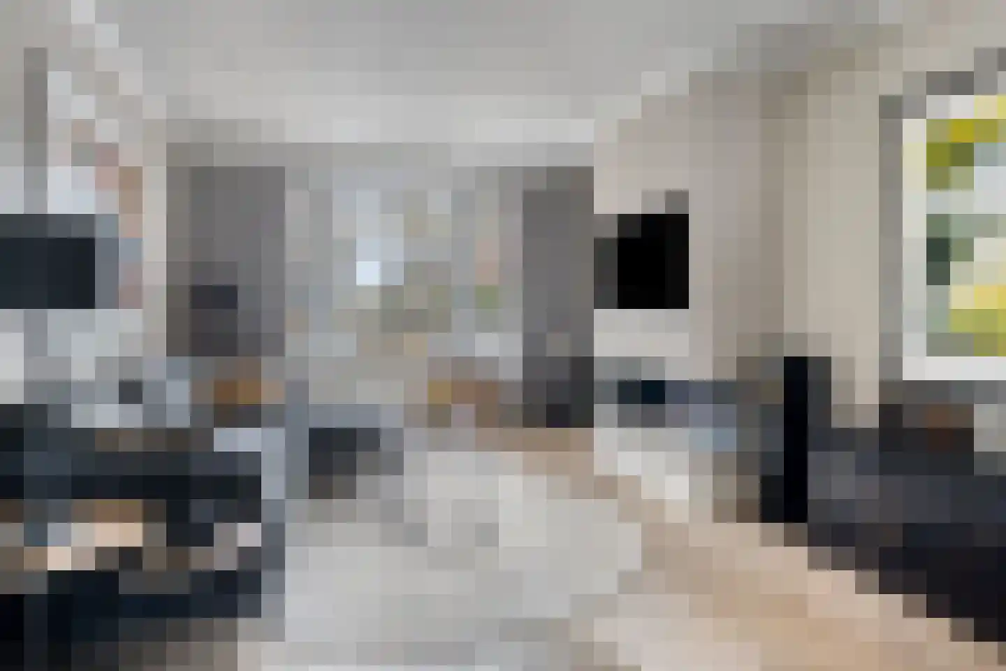 Raadhuisstraat 3 Landsmeer thumbnail 11