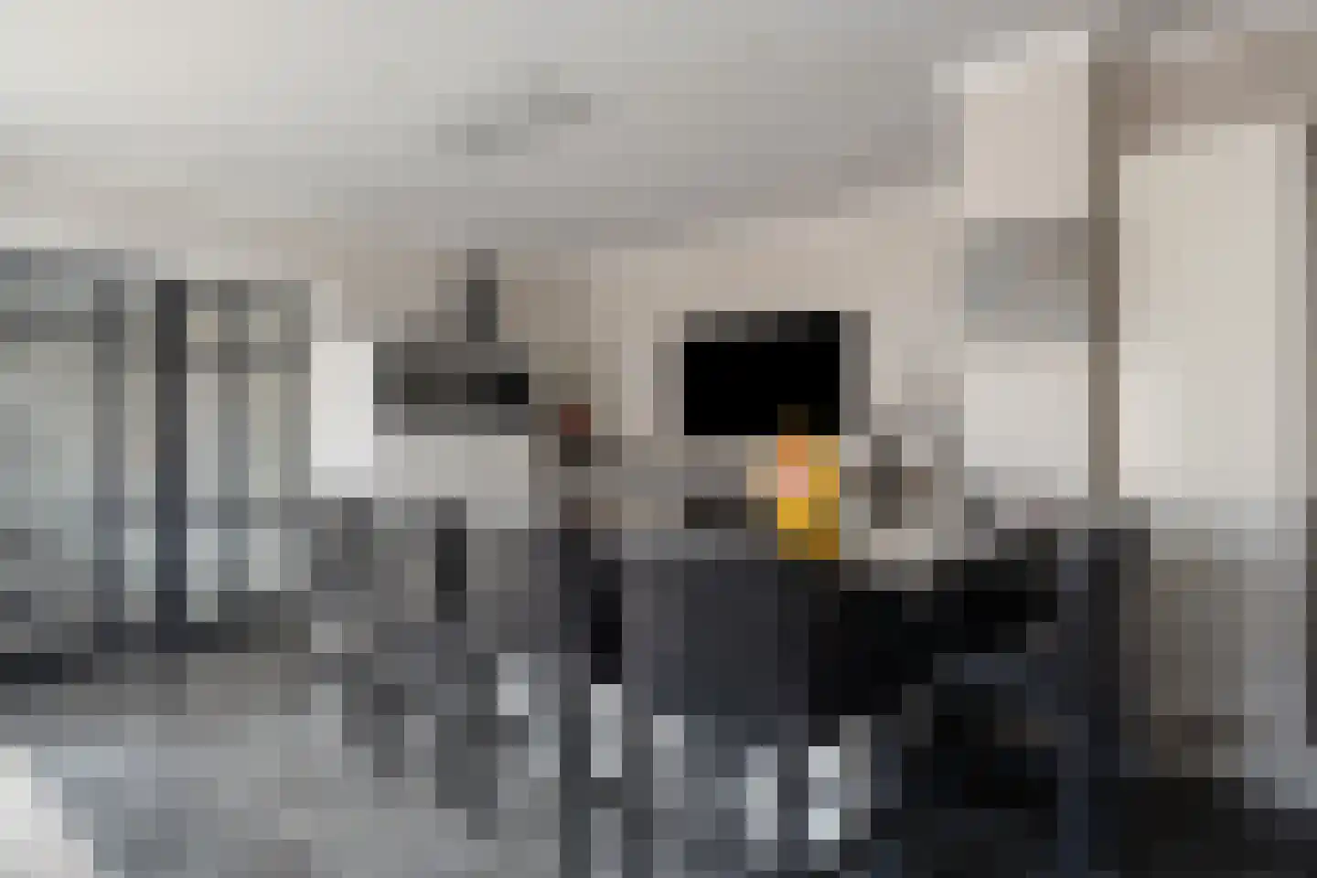 Raadhuisstraat 3 Landsmeer thumbnail 13