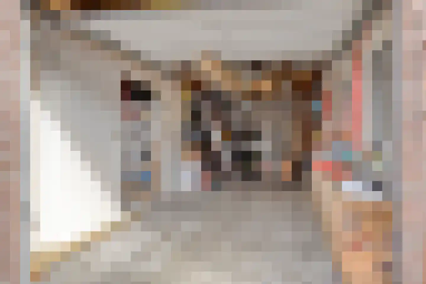 Raadhuisstraat 3 Landsmeer thumbnail 25