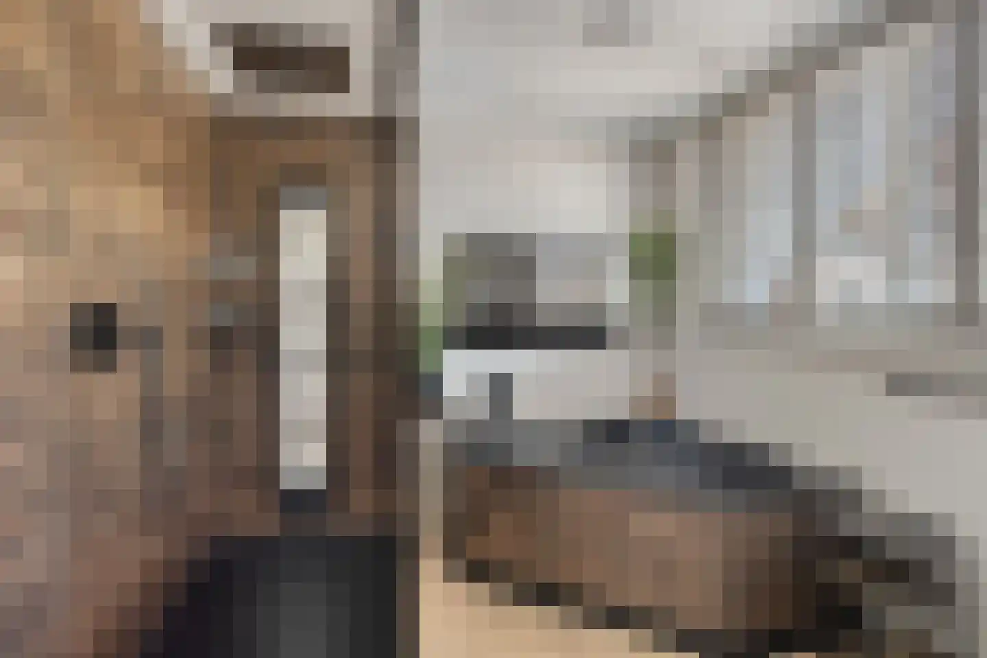 Raadhuisstraat 3 Landsmeer thumbnail 30