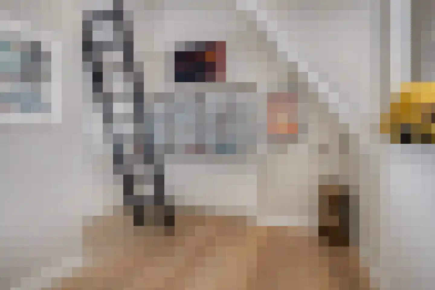 Raadhuisstraat 3 Landsmeer thumbnail 38