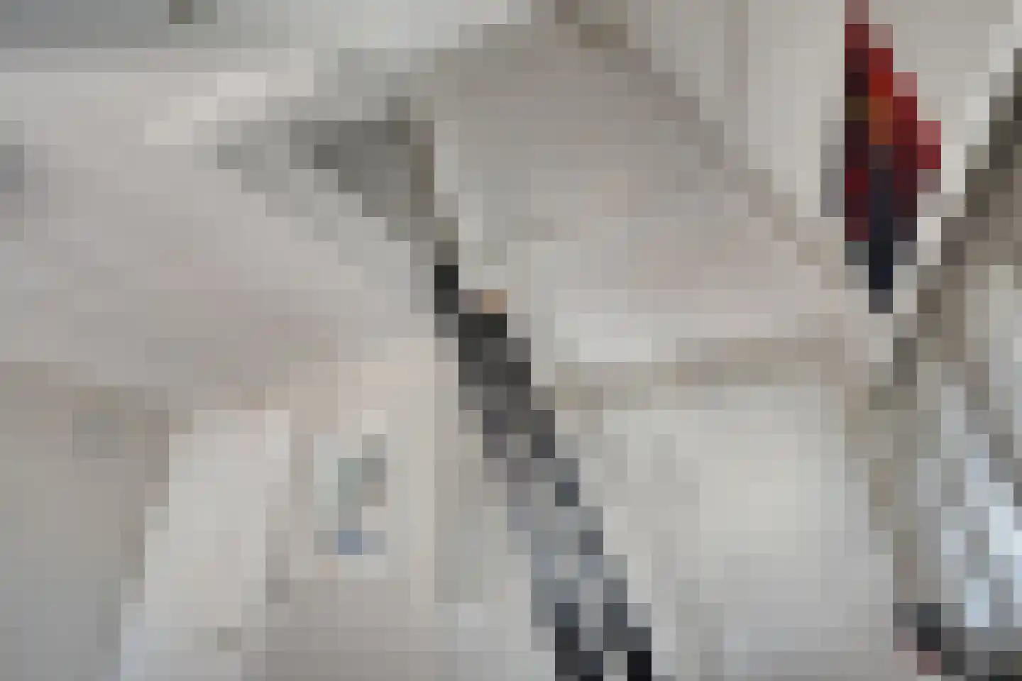 Raadhuisstraat 3 Landsmeer thumbnail 40