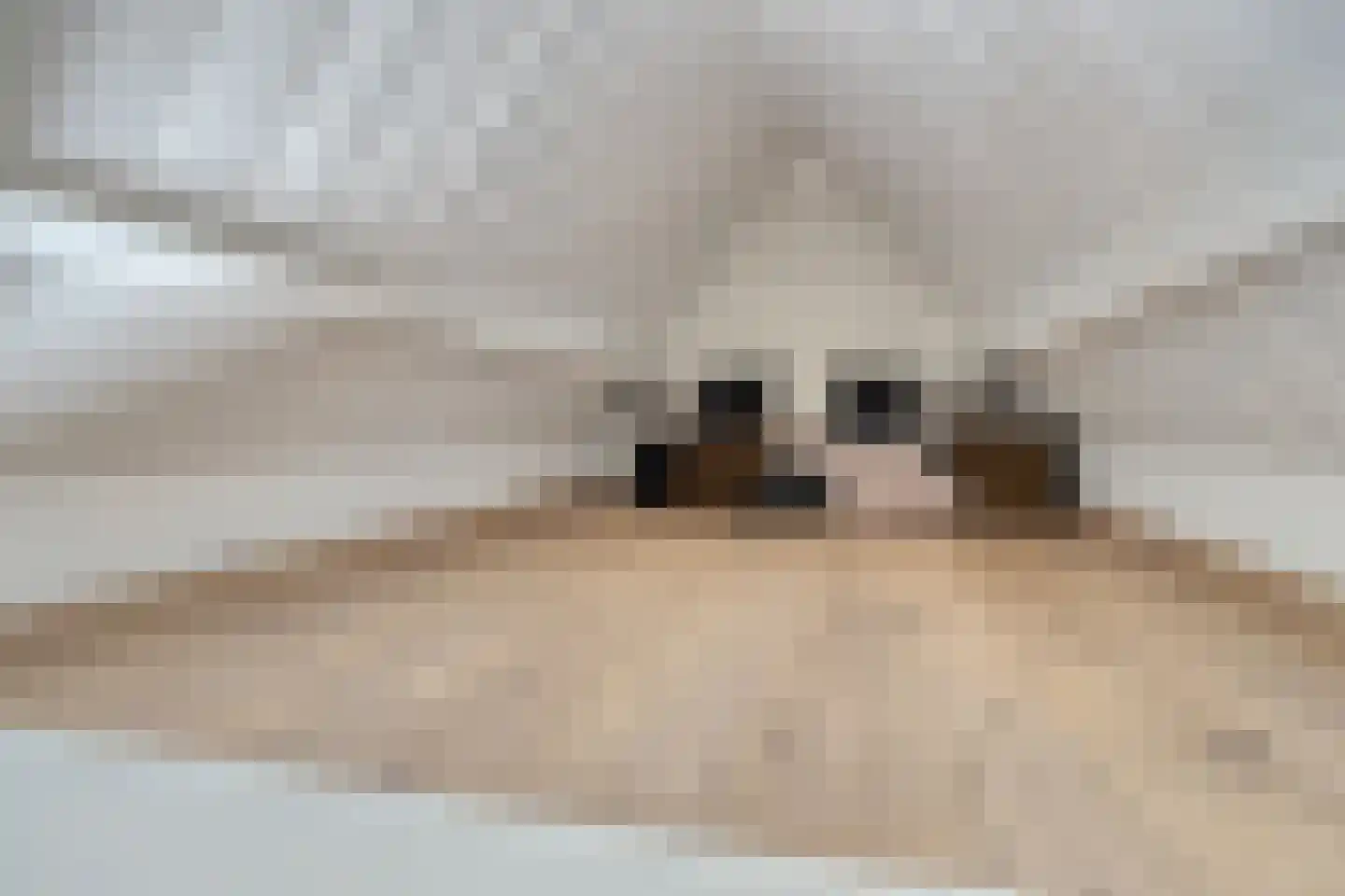 Raadhuisstraat 3 Landsmeer thumbnail 41