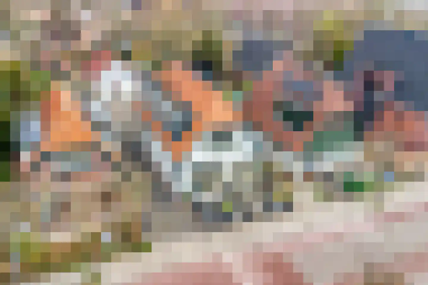 Raadhuisstraat 3 Landsmeer thumbnail 42