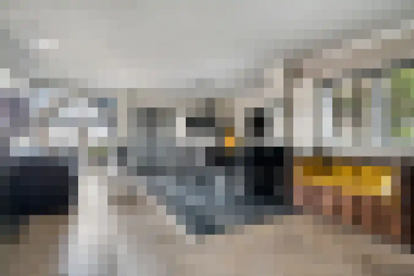 Raadhuisstraat 3 Landsmeer thumbnail 6