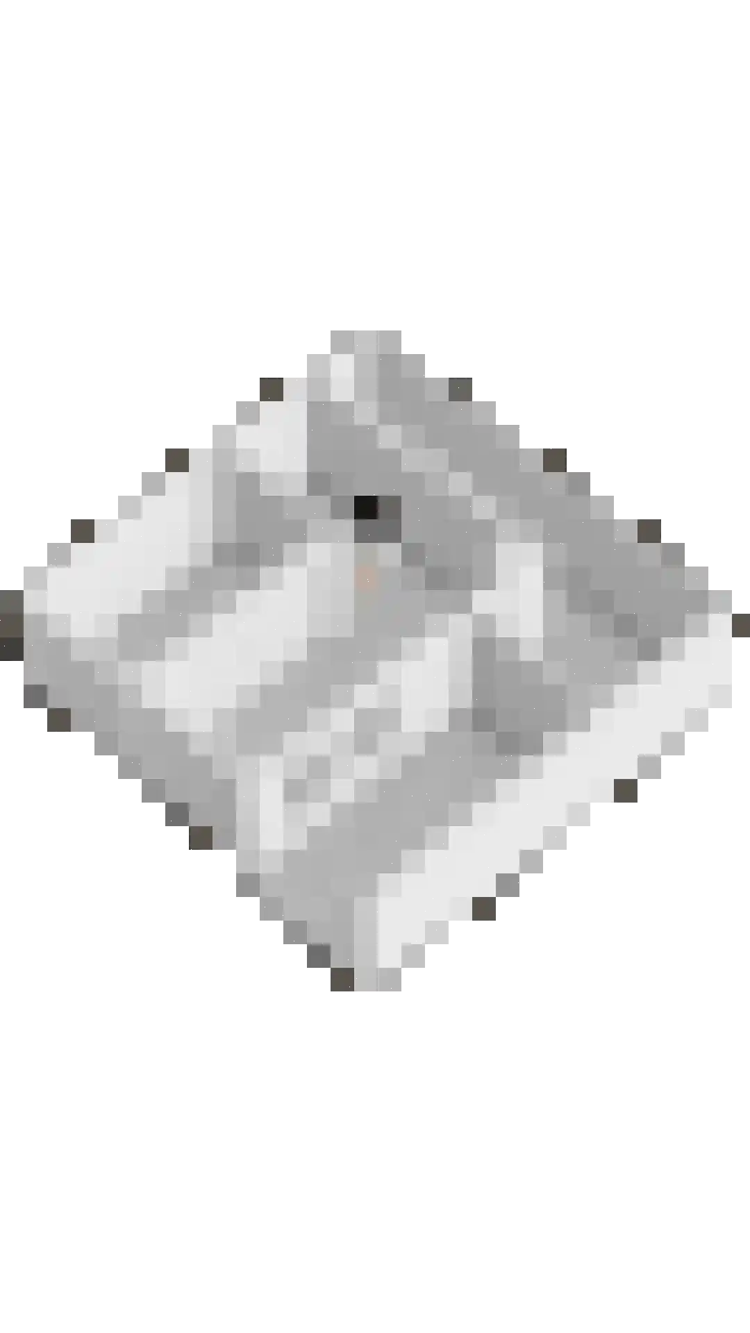 Raadhuisstraat 3 Landsmeer thumbnail 67
