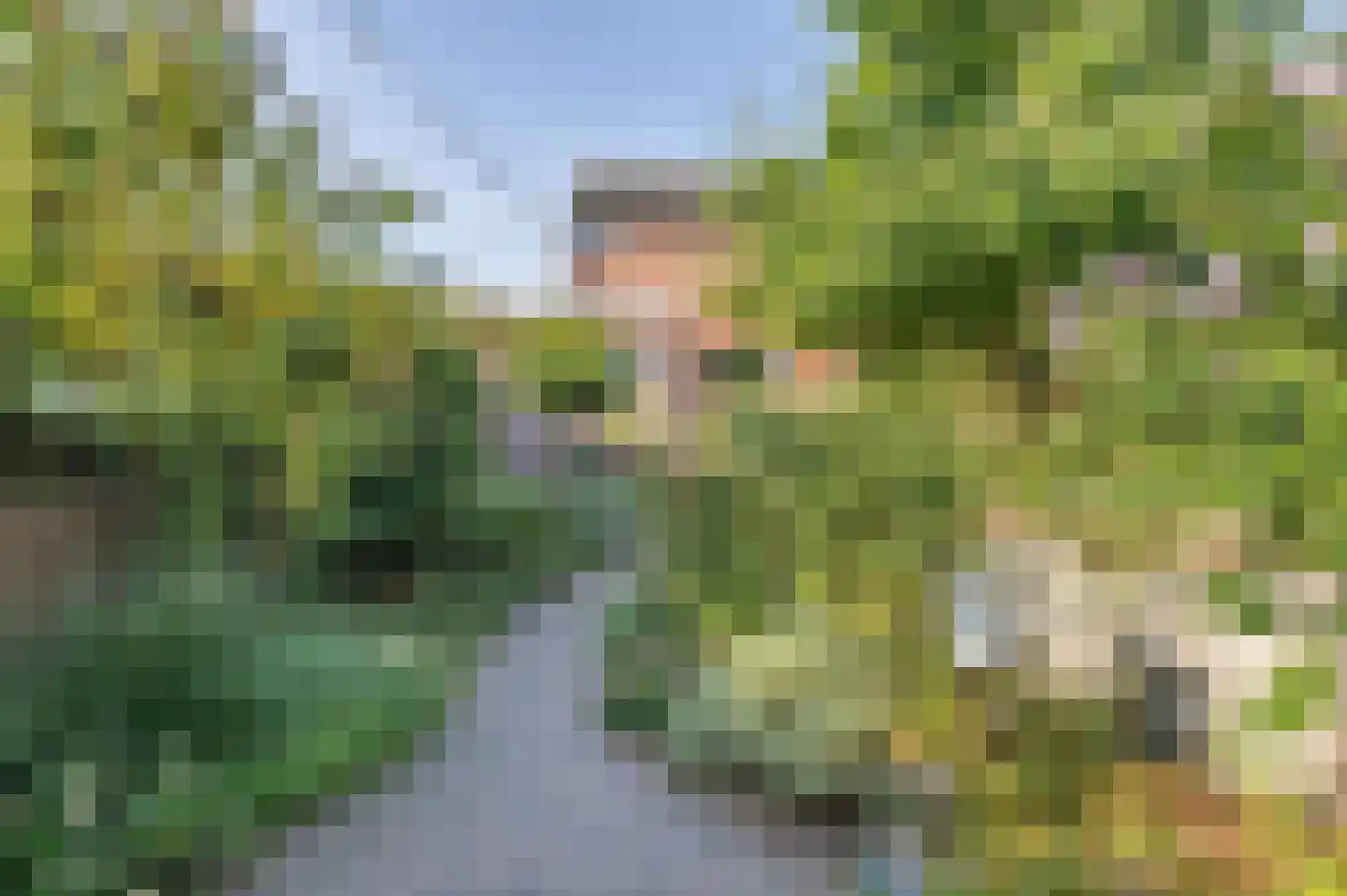 Raadhuisstraat 30 A Hooge Zwaluwe thumbnail 62