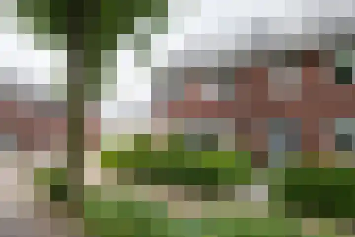 Raadhuisstraat 30 Hengelo (Gld) thumbnail 8