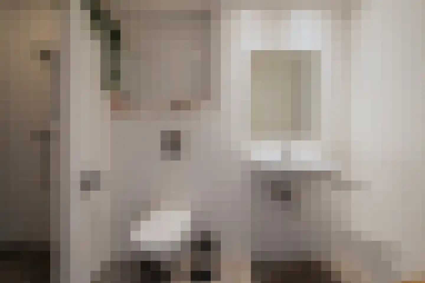 Raadhuisstraat 30 Hooge Zwaluwe thumbnail 14