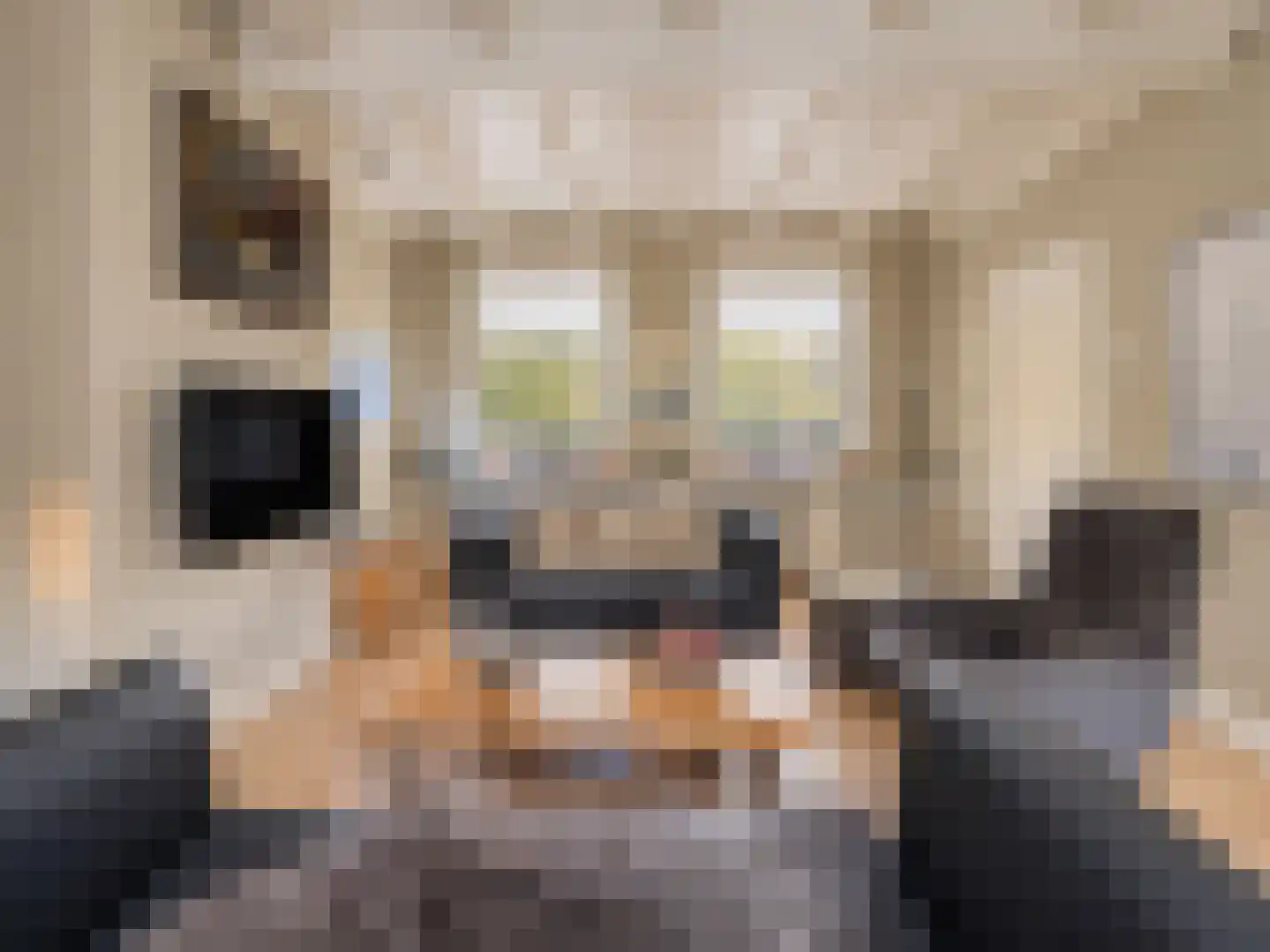 Raadhuisstraat 30 Hooge Zwaluwe thumbnail 19